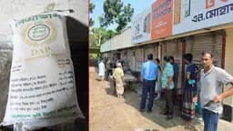 পুঠিয়ায় অবৈধ সার মজুতের হদিস, ৩২০ বস্তা জব্দ